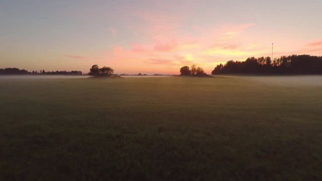 Pink sky over green field. Foggy evening. Aerial footage.