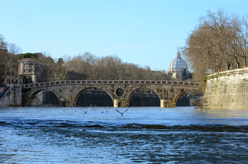 Naklejka premium Rome (Italy) - Lungotevere and Island of Rome during the Tiber river flood, year 2014