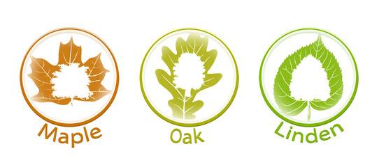 The set of round icons of trees and leaves (linden, oak and maple)