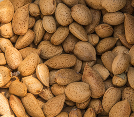 shelled almonds