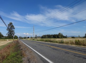 Country Road in late summer 