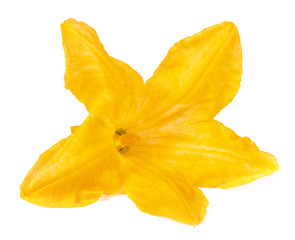 Fototapeta premium zucchini flower isolated on white background macro