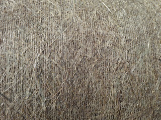 Texture of hay bale