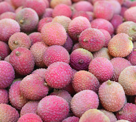 Ripe fruit lychee closeup