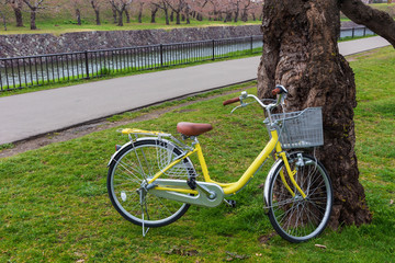 Fototapeta premium Yellow bicycle at park