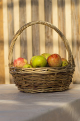 Organic apples in basket in summer grass.