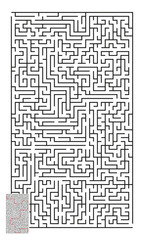 Large Vector Vertical Maze with Answer 