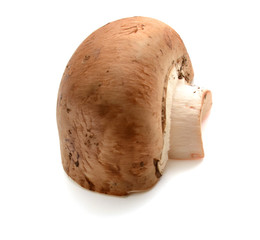 fresh mushroom on a white background