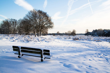 A winter landscape in Holland