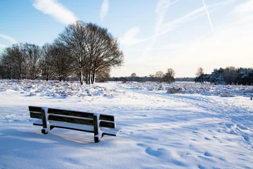 Foto auf Leinwand A winter landscape in Holland © raban48