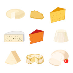 Cheese varieties vector illustration.