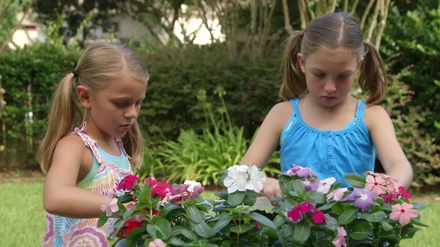 Two little girls in a garden or backyard setting busy planting colorful flowers in a flowerbox. 4K