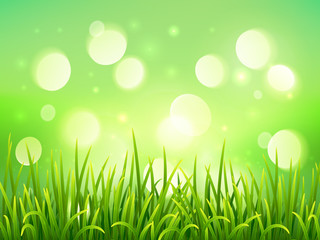 Fototapeta na wymiar Green grass on bokeh light effect background