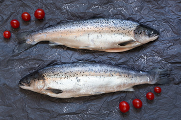 Fresh uncooked fish on black background with tomatoes, top view