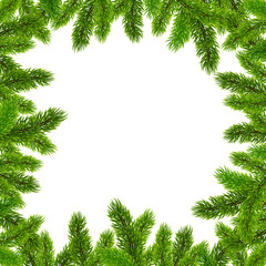 Green Christmas tree branches vector frame