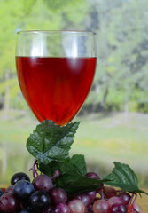 A glass of dark pink wine sitting on a wooden table with grapes with a blurred background of a tree lined lake in the sunshine. There is condensation on the glass and reflections from the lights.