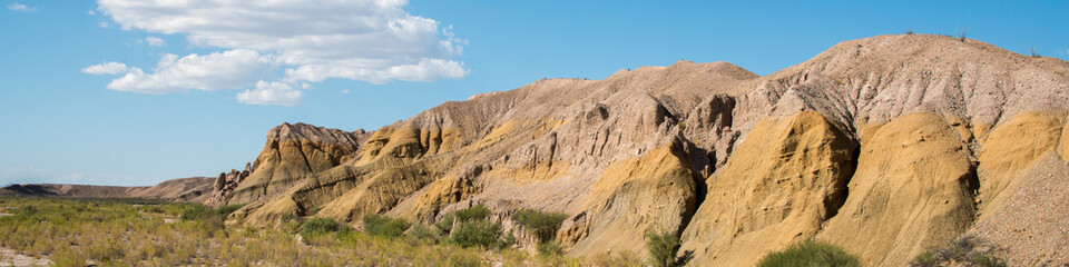 Fototapeta premium Big Bend National Park