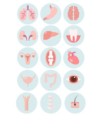 set of human organs colored , flat style , vector illustration