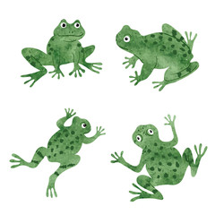 Set of cute watercolor frogs isolated on white. Vector illustration. 
