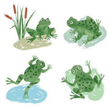 Set of cute watercolor frogs isolated on white. Vector illustration. 