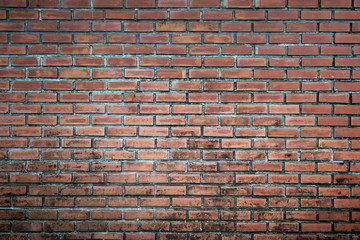 Fototapeta premium brick wall as background