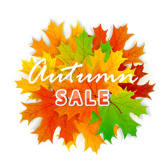 Maple leaves and Autumn Sale