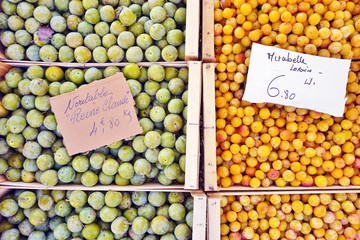 Crate of green gage plums (reine claude) at a French farmers market