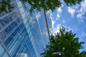 高層ビルと窓ガラス