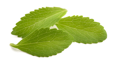 Stevia leaves