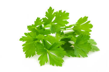 Fresh parsley sprig