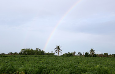 rainbow on sky in the countryside at morning.