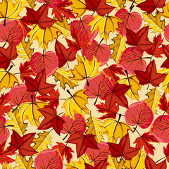 Autumn vector seamless pattern. Hand draw autumn leaves background.