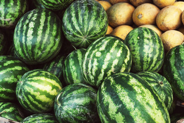 watermelons