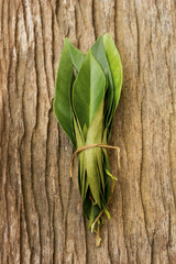 Indonesian Bay Leaf also known as Daun Salam; non-sharpen file
