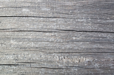 wooden texture background