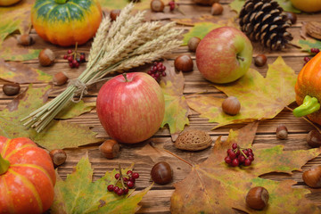 Autumn leaves, apples, pumpkins and nuts