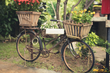 Fototapeta na wymiar Vintage bicycle with flowers