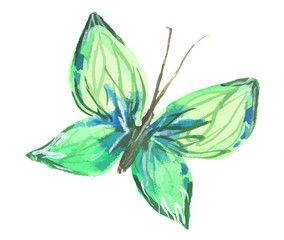 Isolated watercolor green butterfly on white background. Beautiful fragile creature for decoration.