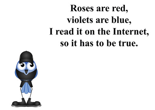 Internet Poem