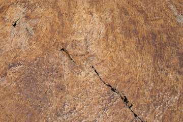 Stone texture / background