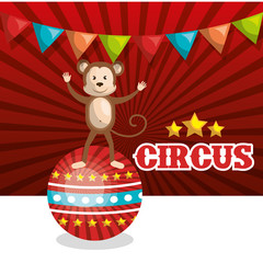 monkey circus animal show isolated icon