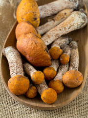 orange-cap boletus on wooden surface