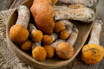 orange-cap boletus on wooden surface