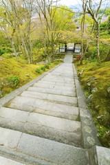 Fototapeta na wymiar Stair in garden in Kyoto, Japan