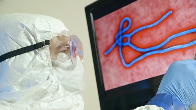 scientist looking at the virus on the display in his lab