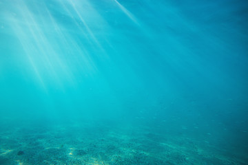 Fototapeta na wymiar Underwater shot with sunrays and fish in deep tropical sea