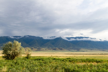 Obraz premium steppe and mountains