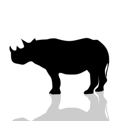Vector illustration of a rhinoceros.