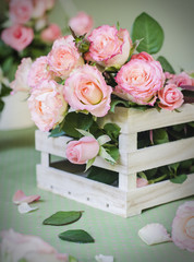 Beautiful pink roses in a wooden box