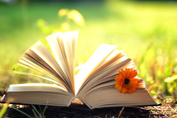 open book with flower on grass